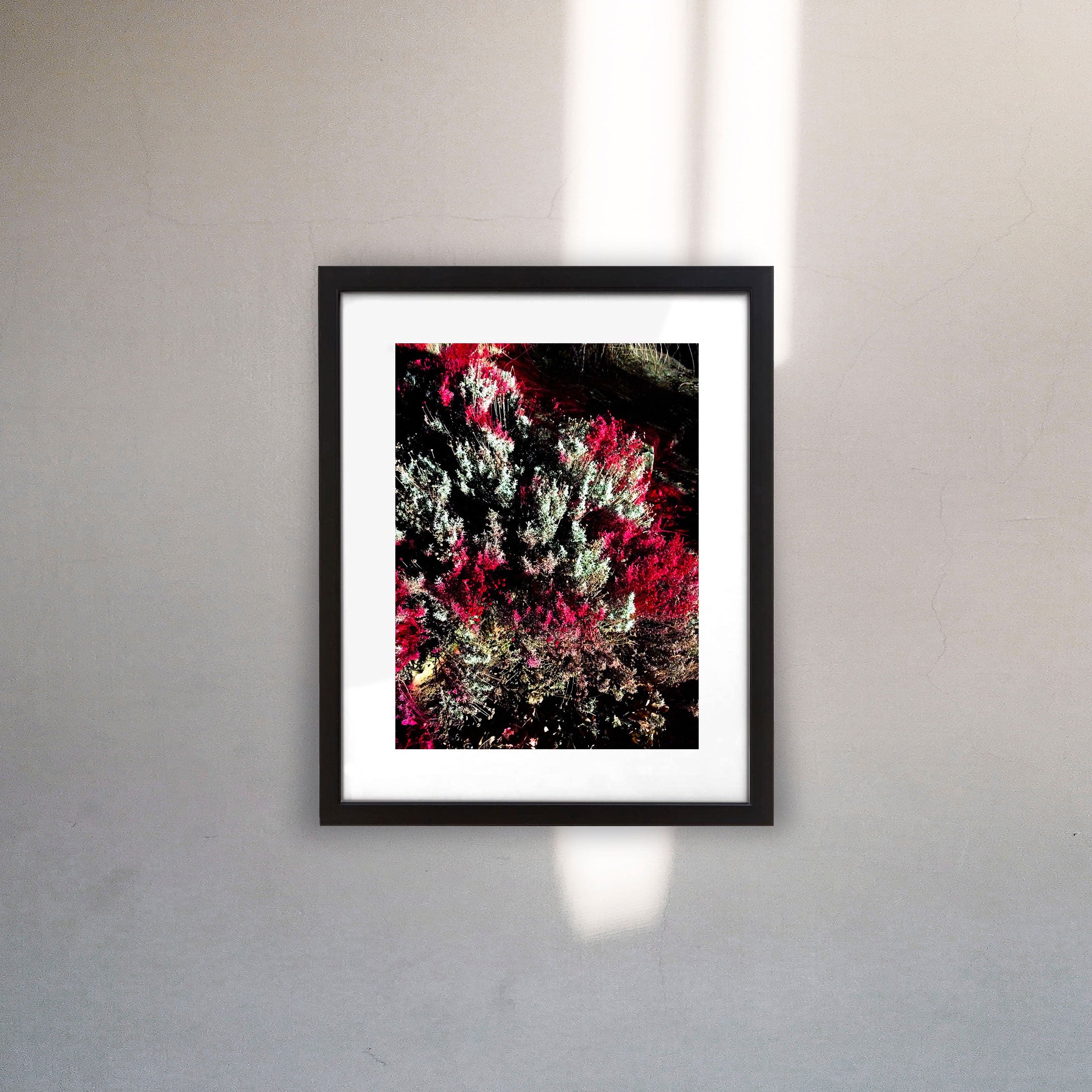 Irradiated Nature VI