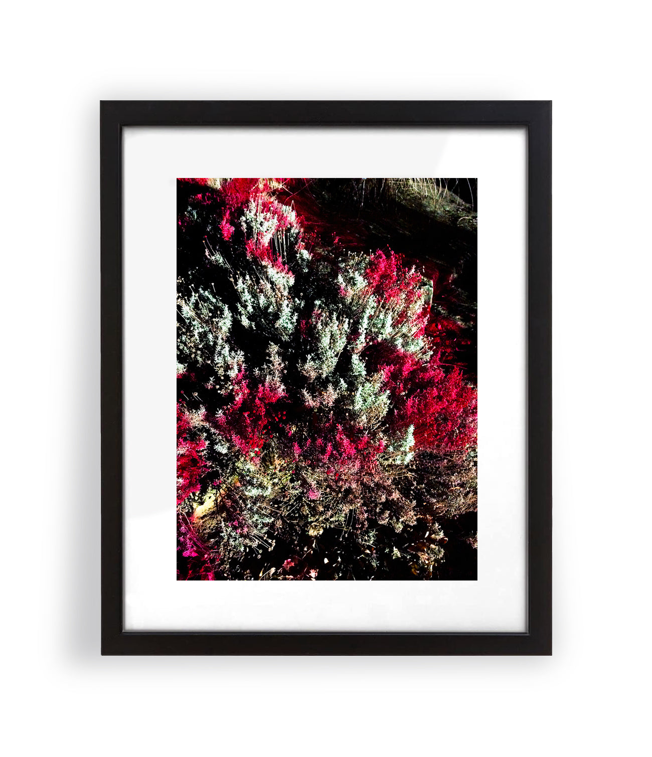 Irradiated Nature VI