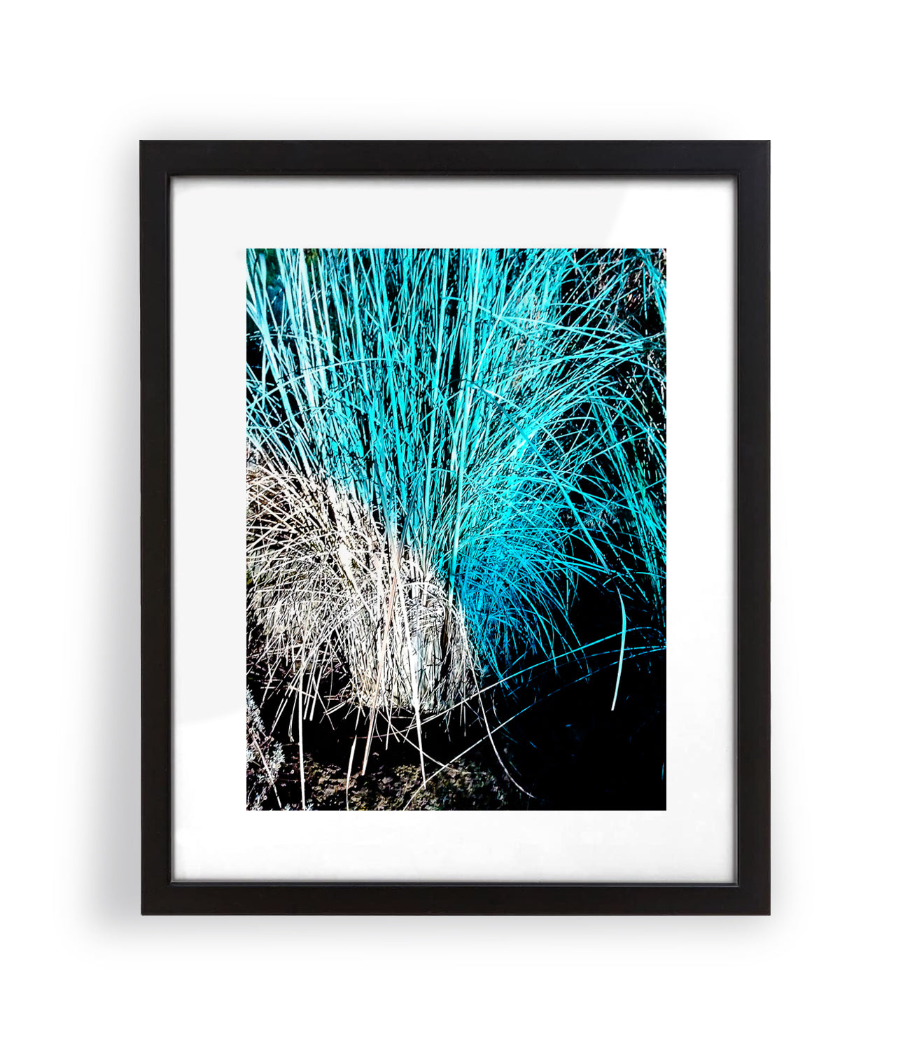 Irradiated Nature II