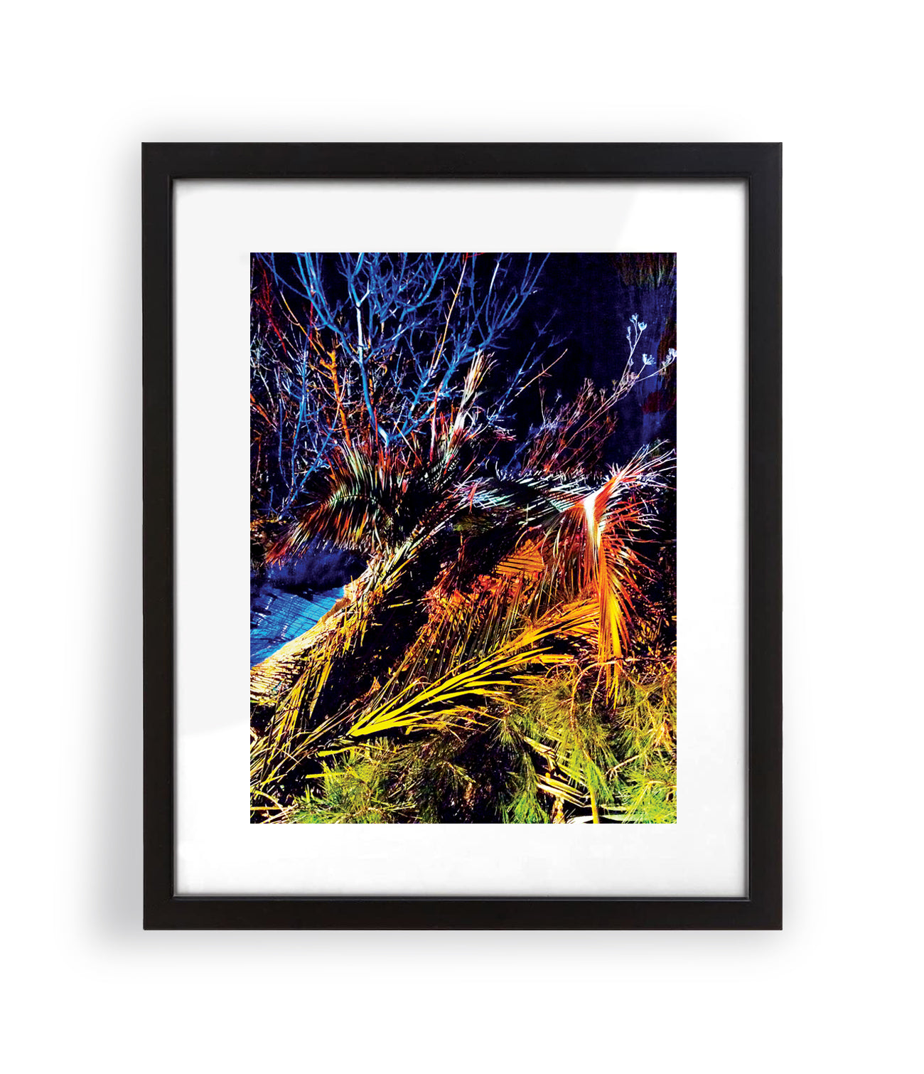 Irradiated Nature IV